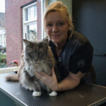 contact tarieven over mij annette gasseling