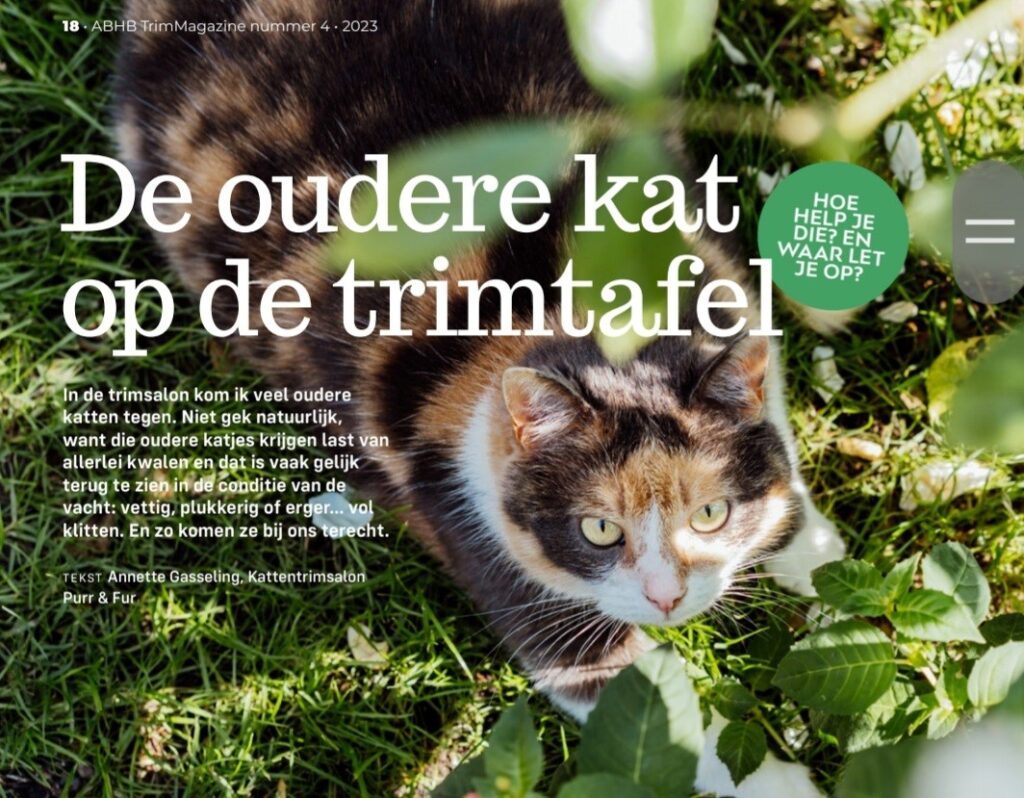 De oudere kat op de trimtafel